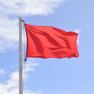 Raising Red Flags: A Closer Look at RH’s Pattern of Overly Optimistic ...